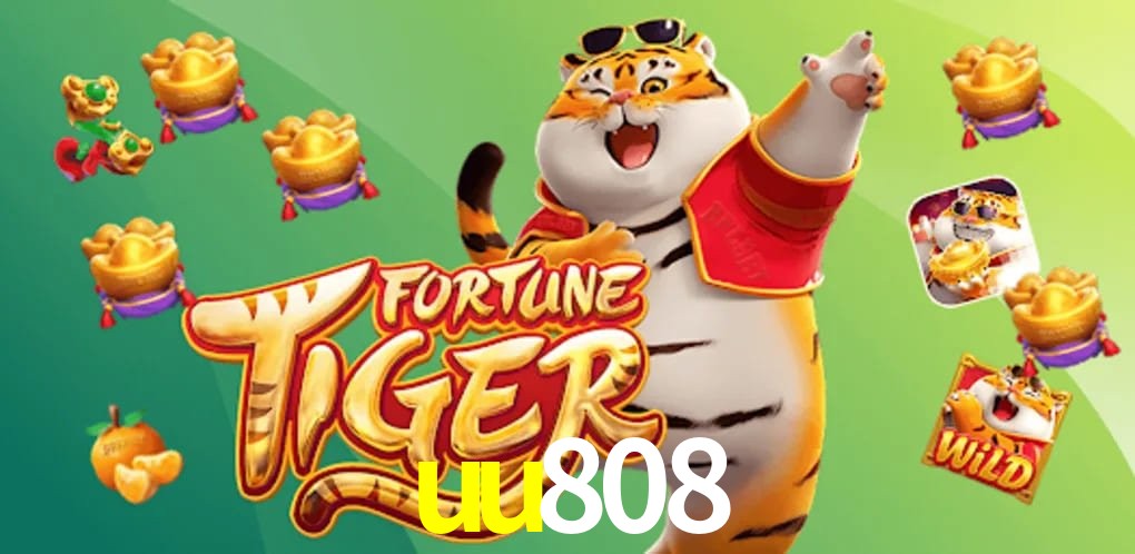 Experiência VIP uu808